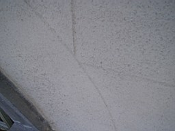christchurch -2306.jpg